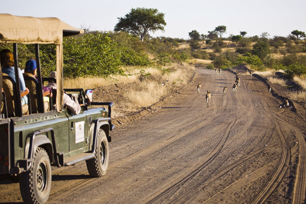 Tuli Safari Lodge Lentswelemoriti Dış mekan fotoğraf